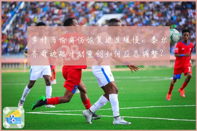 多特马伦肩伤恢复进度缓慢,泰尔齐奇边路计划重创如何应急调整?