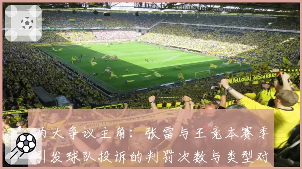 两大争议主角:张雷与王竞本赛季引发球队投诉的判罚次数与类型对比