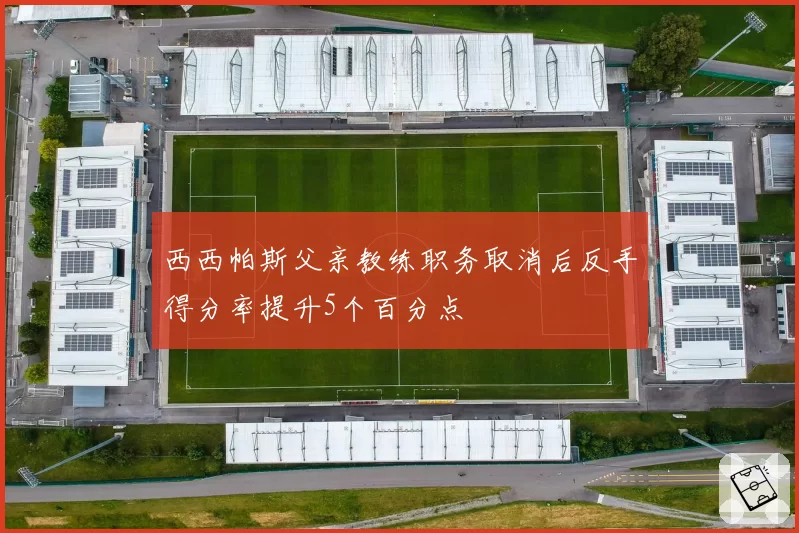 西西帕斯父亲教练职务取消后反手得分率提升5个百分点