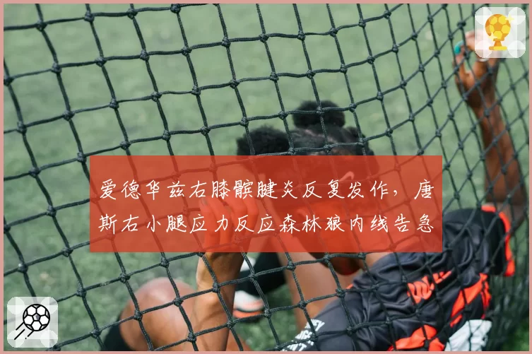 爱德华兹右膝髌腱炎反复发作,唐斯右小腿应力反应森林狼内线告急