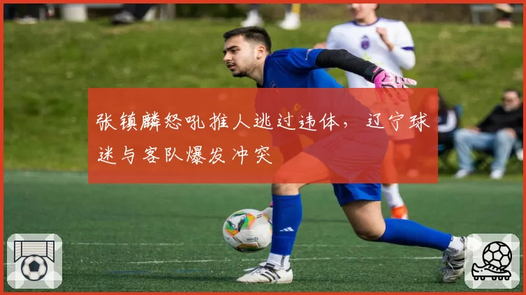 张镇麟怒吼推人逃过违体，辽宁球迷与客队爆发冲突